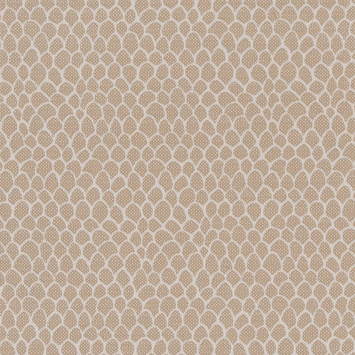 CB700-400 by Charlotte Designer Fabric Shades of Neutral 50% Polyester, 25% Cotton, 25% Acrylic Spain Exceeds 60,000 Wyzenbeek Rubs (Heavy Duty) </p><p>Repeat: 54 Inches - Swanky Fabrics -