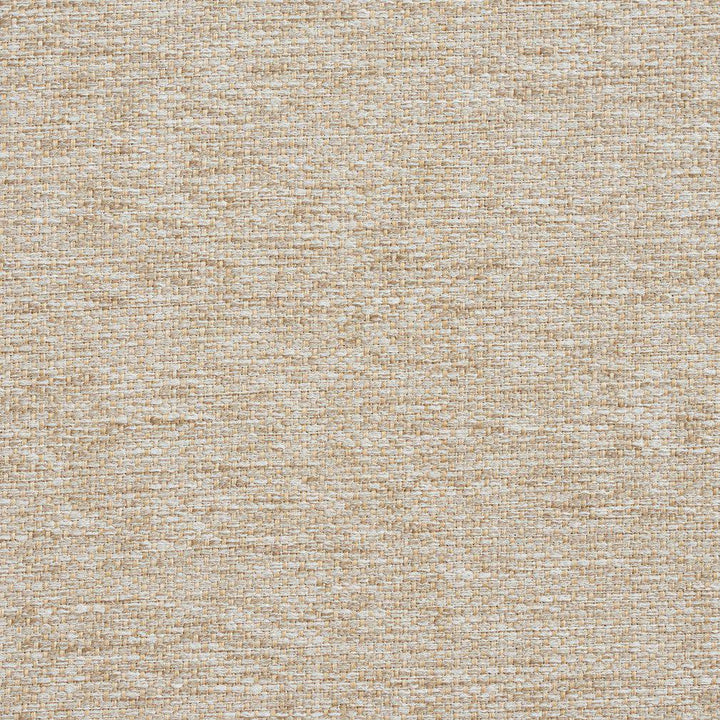 CB700-43 by Charlotte Designer Fabric Taupe 100% Woven Polyester Asia Exceeds 80,000 Wyzenbeek Rubs (Heavy Duty) No Repeat 54 Inches - Swanky Fabrics -
