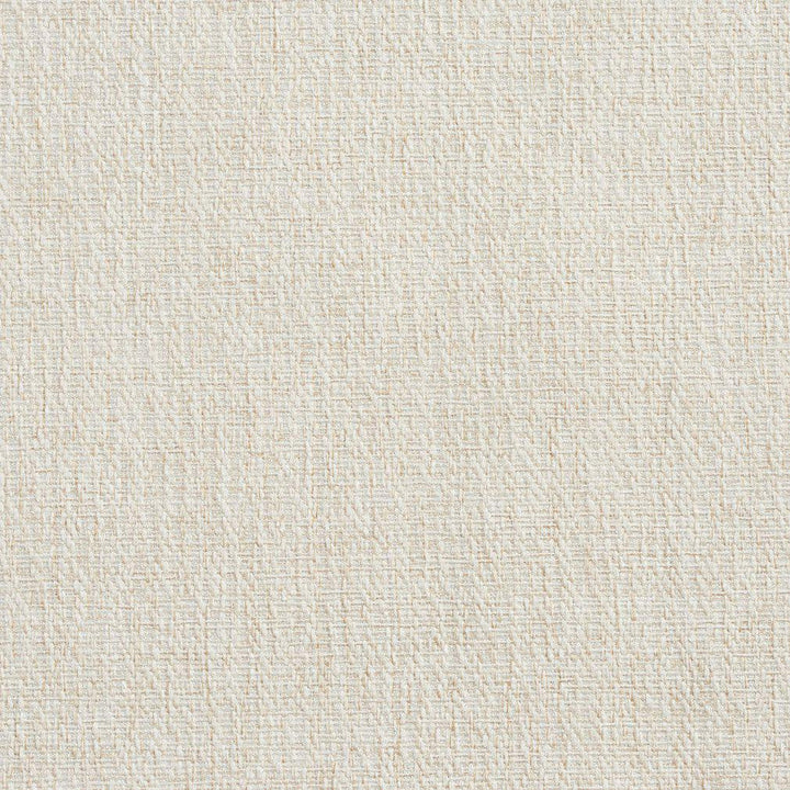 CB700-48 by Charlotte Designer Fabric Natural 100% Woven Polyester Asia Exceeds 100,000 Wyzenbeek Rubs (Heavy Duty) No Repeat 54 Inches - Swanky Fabrics -