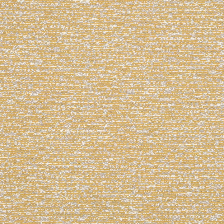 CB700-580 by Charlotte Designer Fabric Shades of Honey 100% Polyester Mexico Exceeds 80,000 Wyzenbeek Rubs (Heavy Duty) No Repeat 54 Inches - Swanky Fabrics -