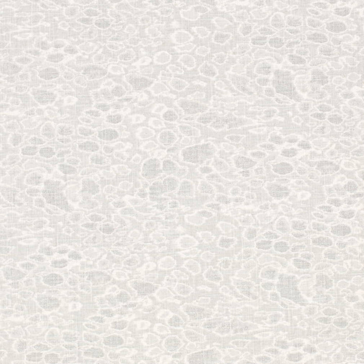 Charlotte Fabric CB700-586