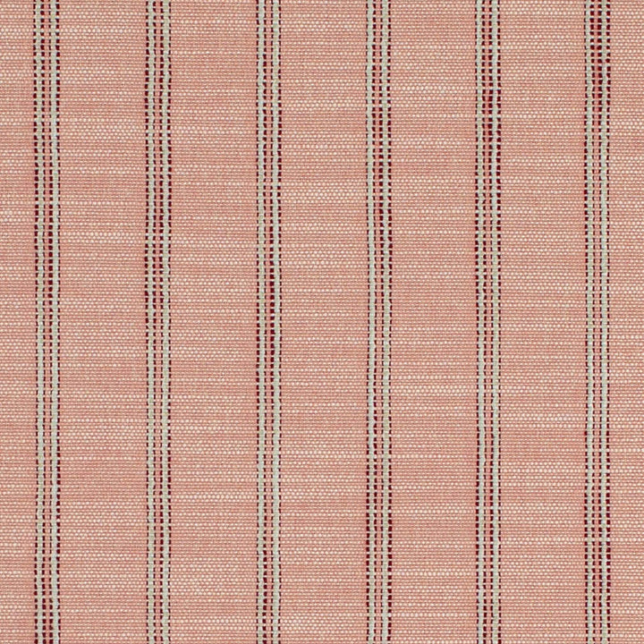 CB700-627 by Charlotte Designer Fabric Shades of Wild Rose 40% Recycled Polyester, 44% Rayon, 16% Polyester USA Exceeds 100,000 Wyzenbeek Rubs (Heavy Duty) Horizontal 2" 54 Inches - Swanky Fabrics -