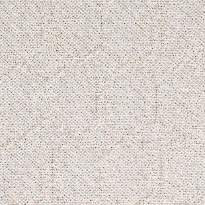CB700-630 by Charlotte Designer Fabric Shades of Pearl 65% Recycled Polyester, 35% Polyester USA Exceeds 100,000 Wyzenbeek Rubs (Heavy Duty) Horizontal 5" x Vertical 6.75" 54 Inches - Swanky Fabrics -