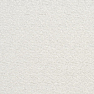 Charlotte Fabric Cb800-01