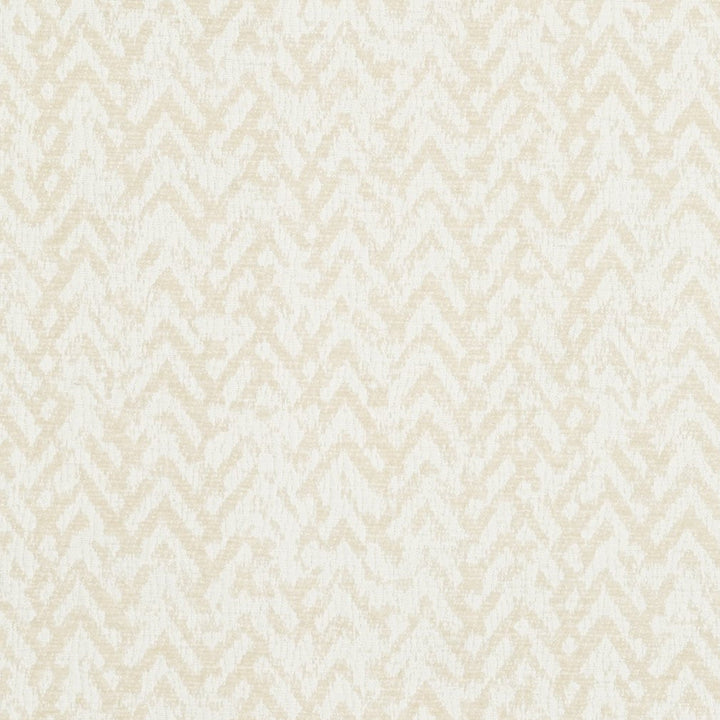 CB800-117 by Charlotte Designer Fabric Black & White 100% Woven Polyester Asia Exceeds 30,000 Wyzenbeek Rubs (Heavy Duty) Horizontal: 7" x Vertical: 7" 54 Inches - Swanky Fabrics -