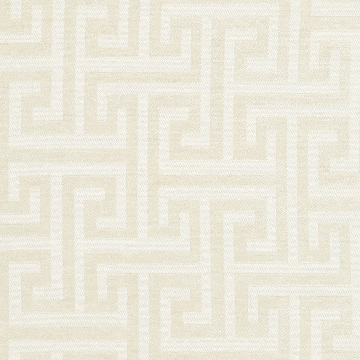 CB800-118 by Charlotte Designer Fabric Black & White 100% Woven Polyester Asia Exceeds 160,000 Wyzenbeek Rubs (Heavy Duty) Horizontal: 4" x Vertical: 4.5" 54 Inches - Swanky Fabrics -