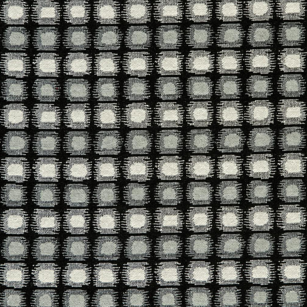 CB800-123 by Charlotte Designer Fabric Black & White 41% Cotton, 34% Polyester, 25% Olefin Made In USA Exceeds 66,000 Wyzenbeek Rubs (Heavy Duty) </p><p>Repeat: Horizontal: 2" x Vertical: 1" 54 Inches - Swanky Fabrics -