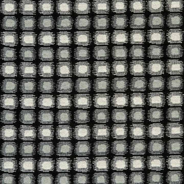 CB800-123 by Charlotte Designer Fabric Black & White 41% Cotton, 34% Polyester, 25% Olefin Made In USA Exceeds 66,000 Wyzenbeek Rubs (Heavy Duty) Horizontal: 2" x Vertical: 1" 54 Inches - Swanky Fabrics -