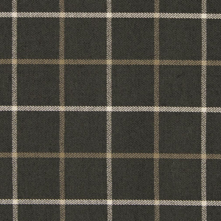 CB800-165 by Charlotte Designer Fabric Shades of Graphite 64% Cotton, 32% Viscose, 4% Polyester Asia Exceeds 60,000 Wyzenbeek Rubs (Heavy Duty) Horizontal 5" x Vertical 5" 54 Inches - Swanky Fabrics -