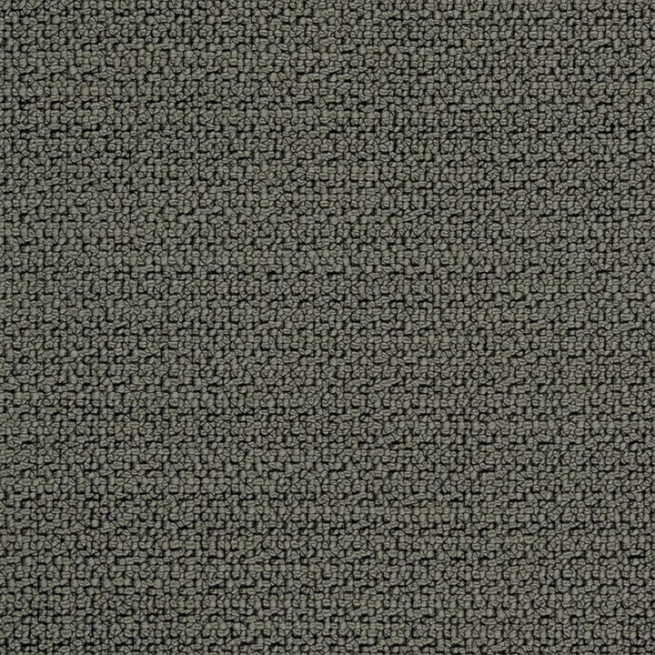 CB800-170 by Charlotte Designer Fabric Shades of Graphite 100% Woven Polyester Asia Exceeds 200,000 Wyzenbeek Rubs (Heavy Duty) No Repeat 54 Inches - Swanky Fabrics -