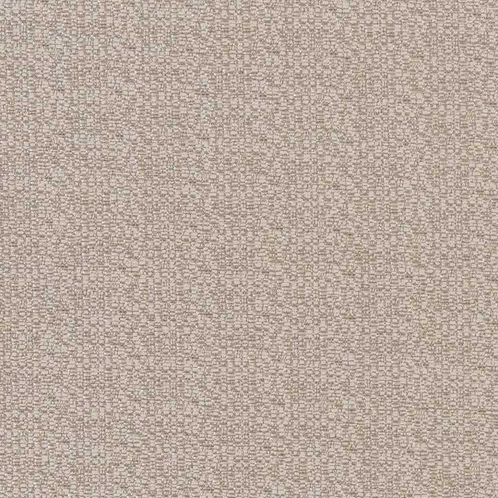 CB800-208 by Charlotte Designer Fabric Shades of Neutral 100% Woven Polyester China Exceeds 60,000 Wyzenbeek Rubs (Heavy Duty) No Repeat 54 Inches - Swanky Fabrics -