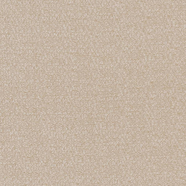 CB800-209 by Charlotte Designer Fabric Shades of Neutral 100% Woven Polyester China Exceeds 60,000 Wyzenbeek Rubs (Heavy Duty) No Repeat 54 Inches - Swanky Fabrics -