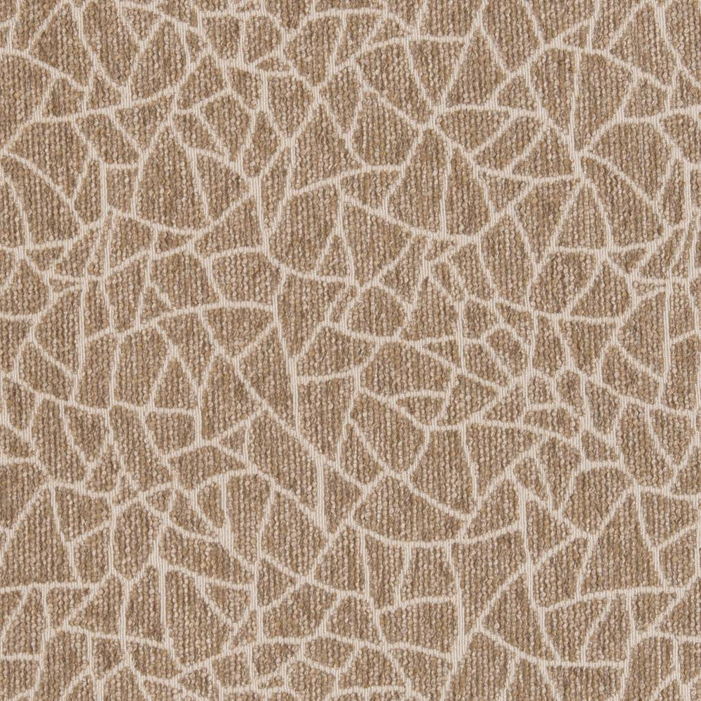 CB800-218 by Charlotte Designer Fabric Shades of Neutral 72% Olefin, 28% Polyester USA Exceeds 30,000 Wyzenbeek Rubs (Heavy Duty) Horizontal 12.5" x Vertical 14" 54 Inches - Swanky Fabrics -