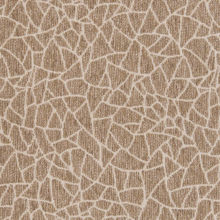 CB800-218 by Charlotte Designer Fabric Shades of Neutral 72% Olefin, 28% Polyester USA Exceeds 30,000 Wyzenbeek Rubs (Heavy Duty) Horizontal 12.5" x Vertical 14" 54 Inches - Swanky Fabrics -
