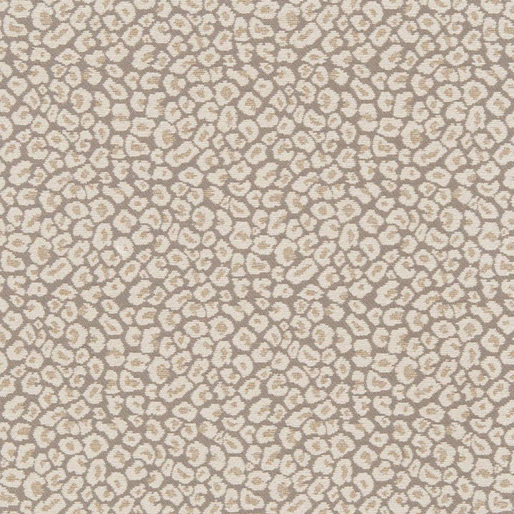 CB800-220 by Charlotte Designer Fabric Shades of Neutral 52% Rayon, 26% Polyester, 22% Cotton China Exceeds 30,000 Wyzenbeek Rubs (Heavy Duty) No Repeat 54 Inches - Swanky Fabrics -