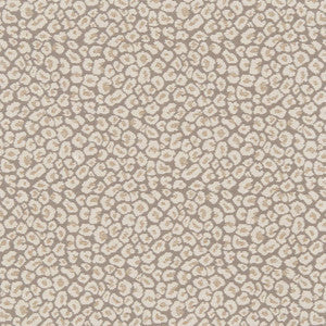 Charlotte Fabric CB800-220