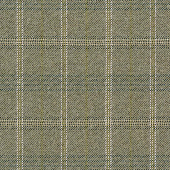 CB800-378 by Charlotte Designer Fabric Shades of Emerald 85% Recycled Polyester, 15% Polyester Made In USA Exceeds 125,000 Wyzenbeek Rubs </p><p>Repeat: Horizontal 4" x Vertical 7.5" 54 Inches - Swanky Fabrics -