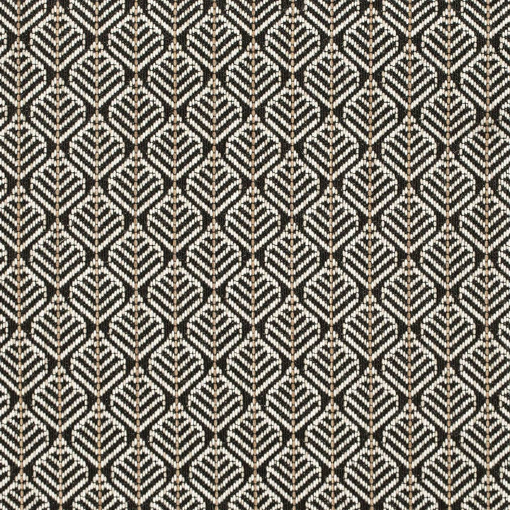 CB800-414 by Charlotte Designer Fabric Shades of Onyx 74% Olefin, 26% Polyester USA Exceeds 66,000 Wyzenbeek Rubs (Heavy Duty) Horizontal 1.5" x Vertical 1.5" 54 Inches - Swanky Fabrics -