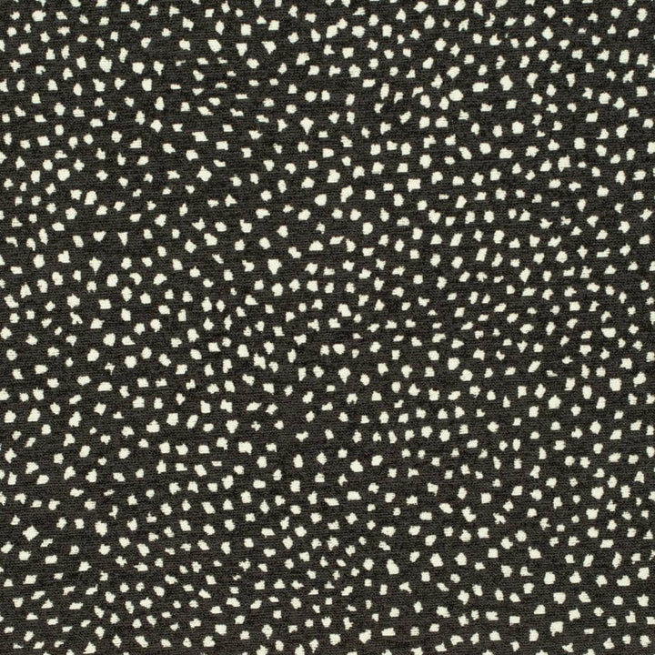 CB800-432 by Charlotte Designer Fabric Shades of Onyx 70% Rayon, 30% Polyester Asia Exceeds 100,000 Wyzenbeek Rubs (Heavy Duty) No Repeat 54 Inches - Swanky Fabrics -