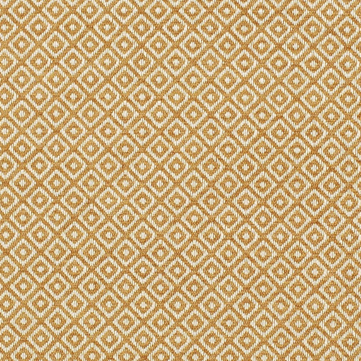 CB800-442 by Charlotte Designer Fabric Shades of Honey 100% Polyester Asia Exceeds 60,000 Wyzenbeek Rubs (Heavy Duty) Horizontal 1" x Vertical 1" 54 Inches - Swanky Fabrics -