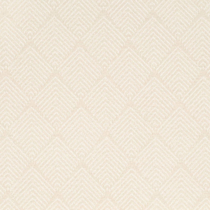 V899 Pebble by Charlotte Designer Fabric Leather Looks 100% Polyester Asia Exceeds 100,000 Wyzenbeek Rubs (Heavy Duty) No Repeat 54 Inches - Swanky Fabrics -