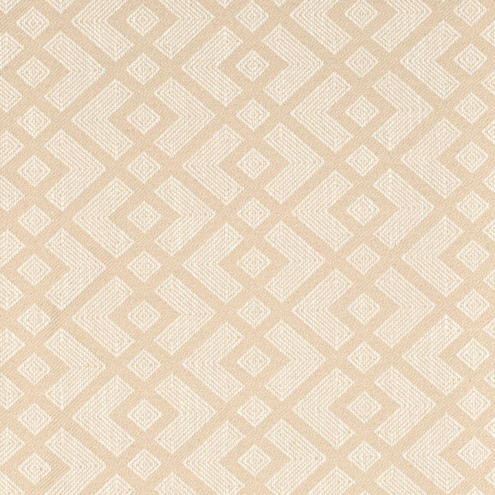 V901 Bone by Charlotte Designer Fabric Leather Looks 72% Polyester, 24% Cotton, 4% Rayon Asia Exceeds 100,000 Wyzenbeek Rubs (Heavy Duty) No Repeat 54 Inches - Swanky Fabrics -