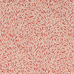 Charlotte Fabric CB800-504