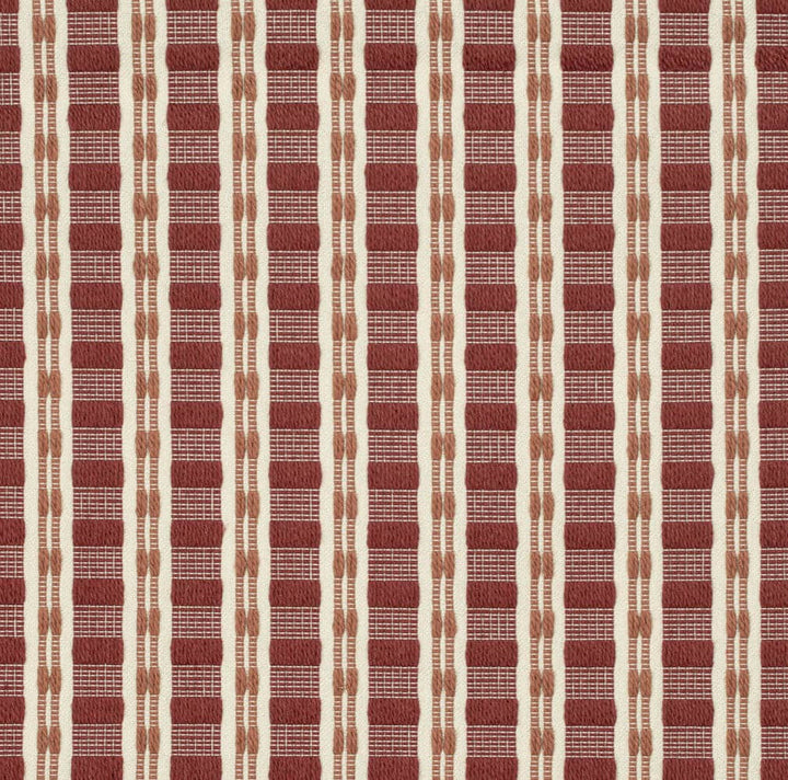 CB900-116 by Charlotte Designer Fabric Shades of Redwood 69% Cotton, 31% Polyester USA Exceeds 66,000 Wyzenbeek Rubs (Heavy Duty) Horizontal 1.5" x Vertical 1" 54 Inches - Swanky Fabrics -