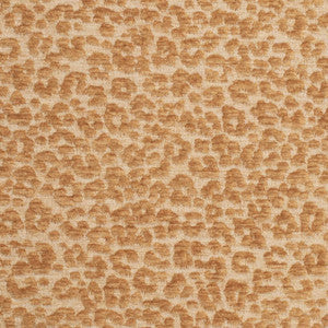 Charlotte Fabric CB900-145