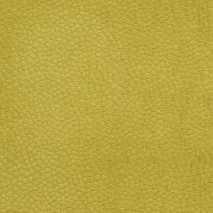 Charlotte Fabric CB900-22
