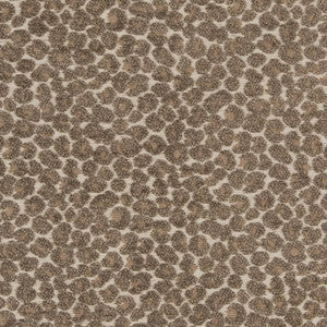 Charlotte Fabric CB900-34