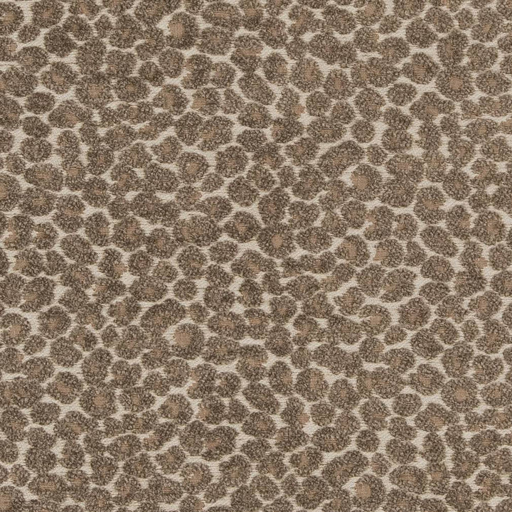CB900-34 by Charlotte Designer Fabric Shades of Neutral 78% Polyester, 22% Cotton Asia Exceeds 120,000 Wyzenbeek Rubs (Heavy Duty) </p><p>Repeat: No Repeat 54 Inches - Swanky Fabrics -