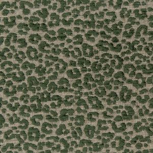 Charlotte Fabric CB900-99
