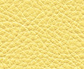 Maxwell Fabric Classic(Contract Vinyl) # 103 Chamomile