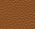 Maxwell Fabric Classic(Contract Vinyl) # 112 Rodeo