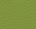 Maxwell Fabric Classic(Contract Vinyl) # 113 Scallion