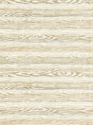 Muir Woods Birch CDOB410054 by Old World Weavers Designer Fabric DORSET COAST 54% ACRYLIC 46% RAYON U.S.A. MEDIUM DUTY Horizontal: 21.5" and Vertical: 26" 52 - Swanky Fabrics -