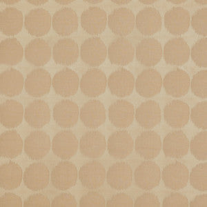 Marcus William Fabric Cecil 1 Curry