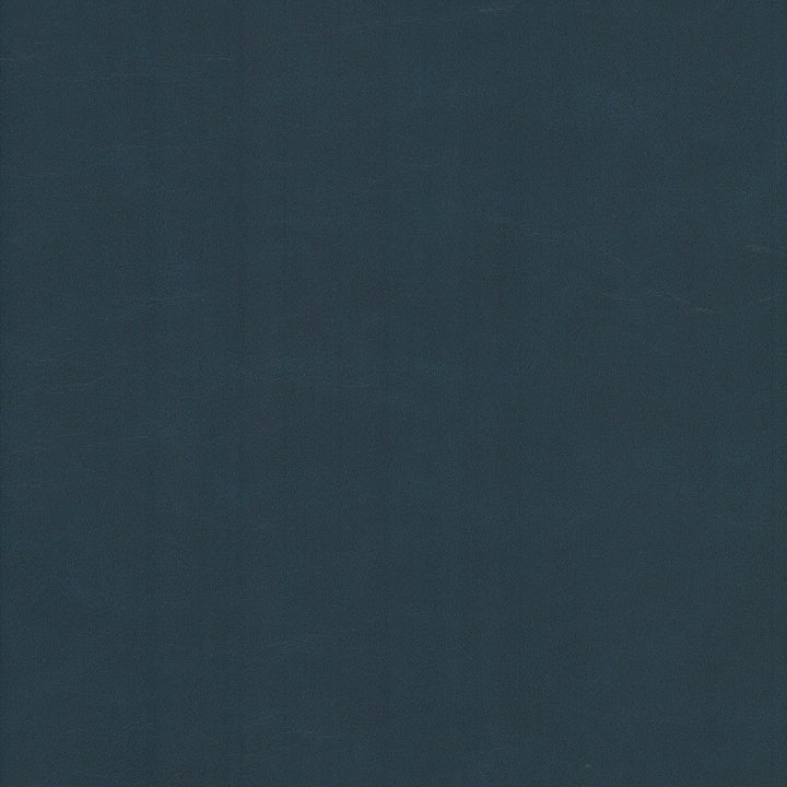 Cervantes 10 Baltic by Stout Fabric Stout Fabric Cervantes 10 BalticFabric LEATHER LOOKS V 100%PVC 1%OTH CHINA </p><p>Repeat: H: 0.000, V: 0.000 54 in - Fabric Carolina -