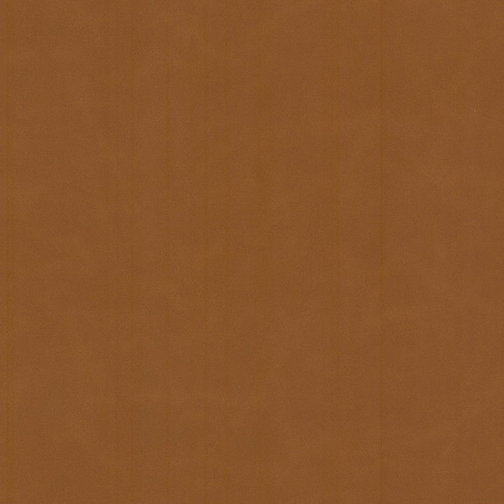 Cervantes 2 Pecan by Stout Designer Fabric LEATHER LOOKS V 100%PVC 1%OTH CHINA PERFORMANCE RATED FABRIC FLAME RETARDANT-N.F.P.A. 260A CLASS 1 CATB 117-2013 WYZENBEEK 500 000 DOUBLE RUB WEAR TEST(EXTREMELY HEAVY DUTY) Horizontal: 0.000 and Vertical: 0.000 54 in - Swanky Fabrics -