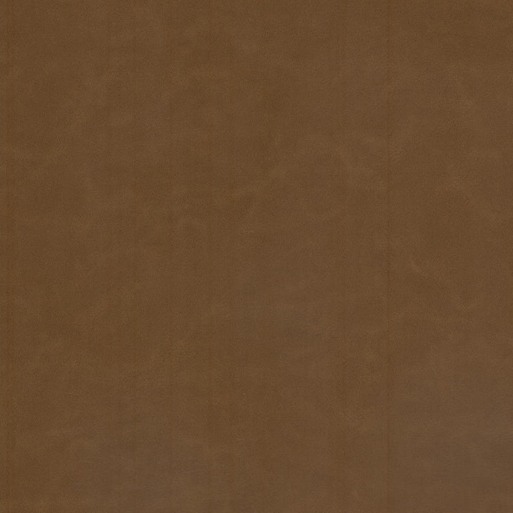Cervantes 6 Brandy by Stout Fabric Stout Fabric Cervantes 6 BrandyFabric LEATHER LOOKS V 100%PVC 1%OTH CHINA </p><p>Repeat: H: 0.000, V: 0.000 54 in - Fabric Carolina -