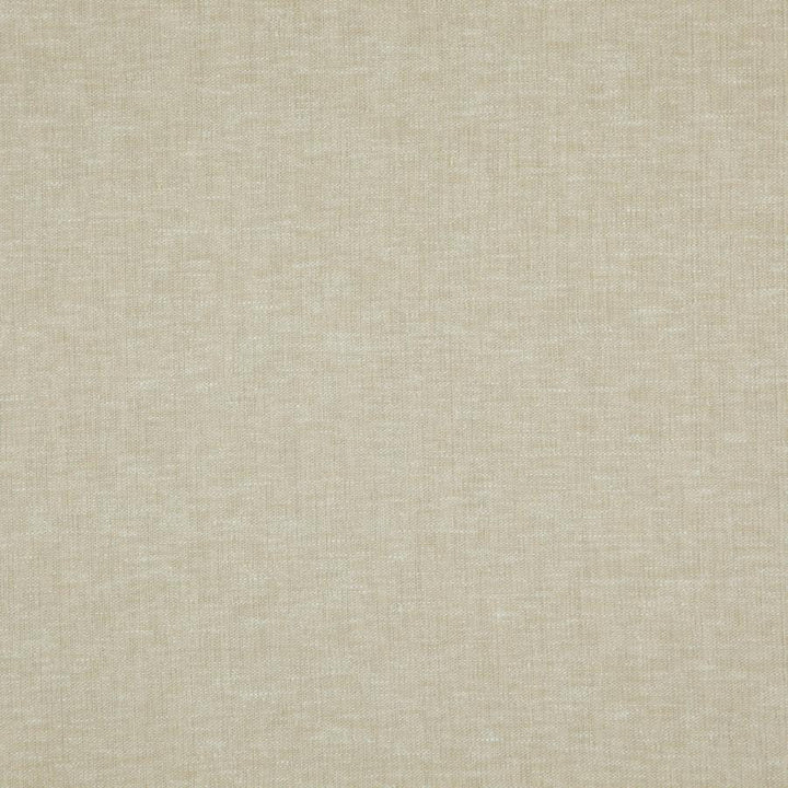 Cloud # 05 Seagrass by Maxwell Designer Fabric Pure & Simple Viii 72% POLYESTER/28% COTTON INDIA 54.25" - Swanky Fabrics -