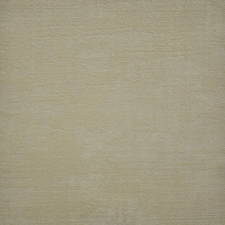 Carlotta # 709 Almond by Maxwell Designer Fabric Velvet Room 100% POLYESTER CHINA 54" - Swanky Fabrics -
