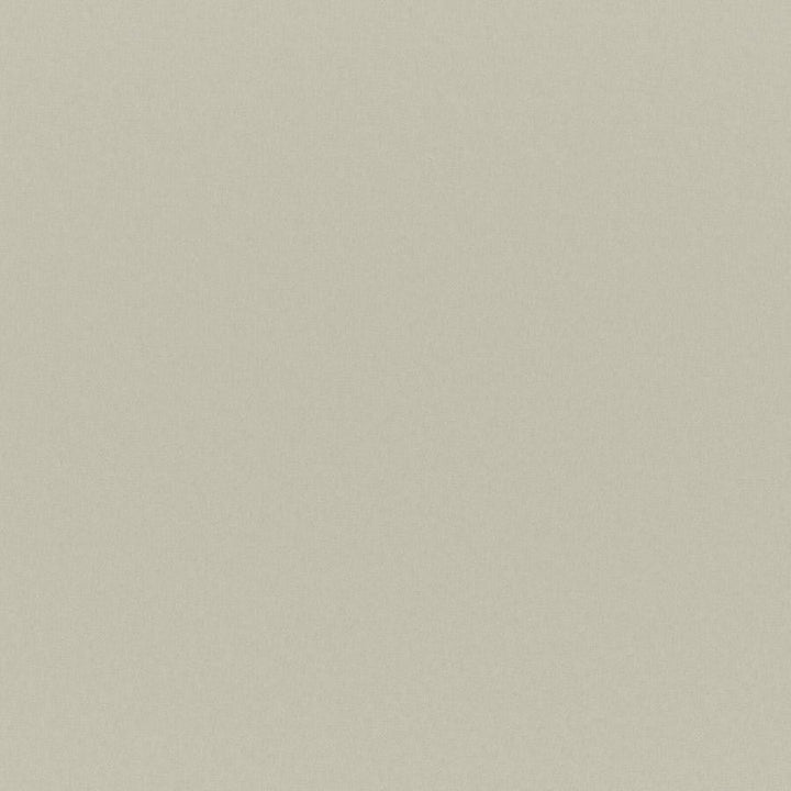 Cadenza # 711 Natural by Maxwell Designer Fabric Curled Up Vii 100% POLYESTER CHINA 56" - Swanky Fabrics -