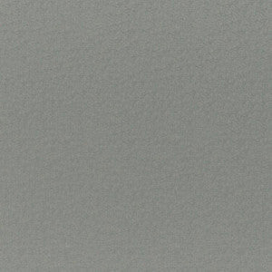 Maxwell Fabric Cadenza # 772 Haze