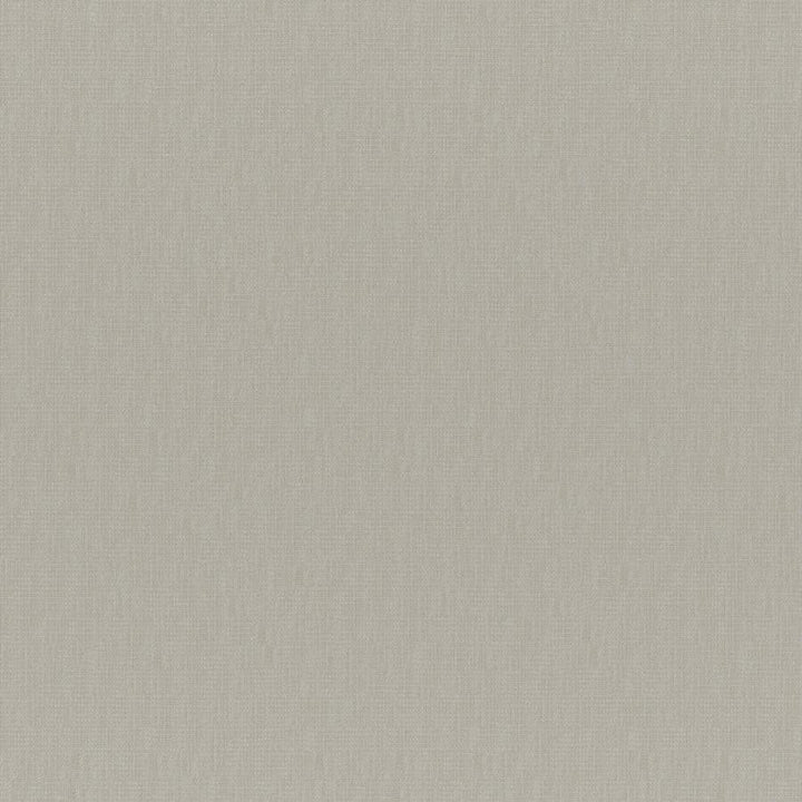 Chico # 219 Siamese by Maxwell Designer Fabric Colorguard-Nougat 64% POLYESTER/32% VISCOSE 4% COTTON INDIA 55" - Swanky Fabrics -