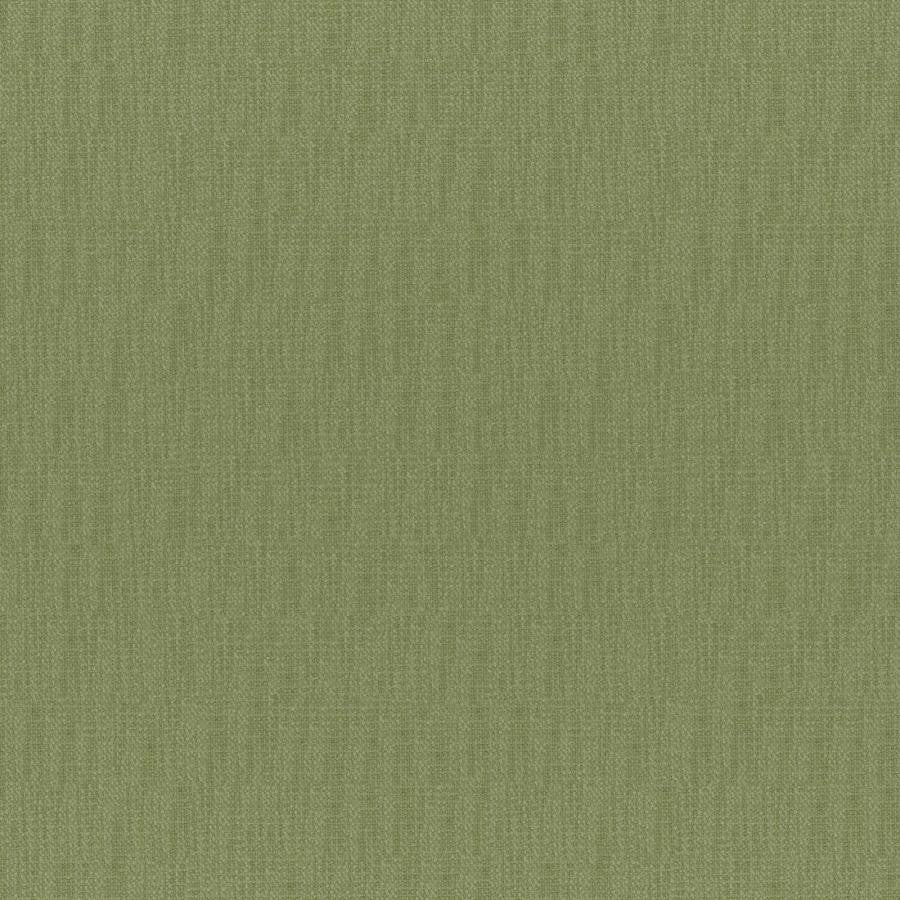 Chico # 831 Aloe by Maxwell Designer Fabric Colorguard-Amazonia 64% POLYESTER/32% VISCOSE 4% COTTON INDIA 55" - Swanky Fabrics -