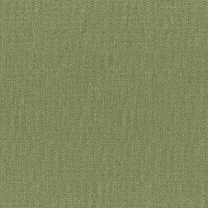 Chico # 831 Aloe by Maxwell Designer Fabric Colorguard-Amazonia 64% POLYESTER/32% VISCOSE 4% COTTON INDIA 55" - Swanky Fabrics -