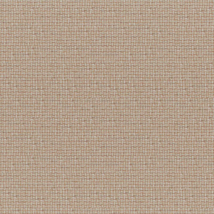 Caracara # 542 Cinnamon by Maxwell Designer Fabric Colorguard-Nectar 83% POLYESTER/17% COTTON INDIA V-0.6"H-0.4" 55" - Swanky Fabrics -