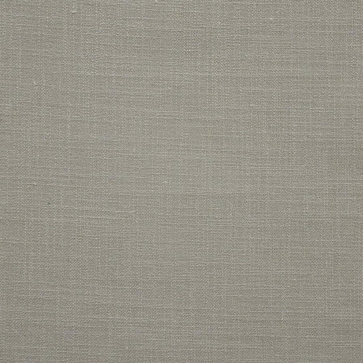 Campo # 941 Rhino by Maxwell Designer Fabric Performance Wovens-Vol. V Silver Sun 88% POLYESTER/12% LINEN CHINA 55" - Swanky Fabrics -